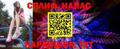 прущие грибы Будённовск