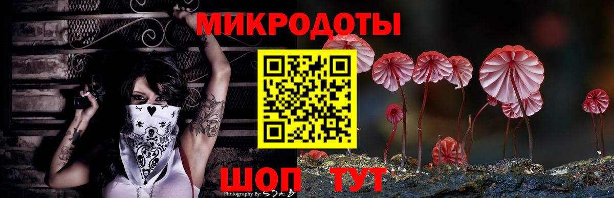 Псилоцибиновые грибы Cubensis  Вход с VPN  Усть-Илимск 